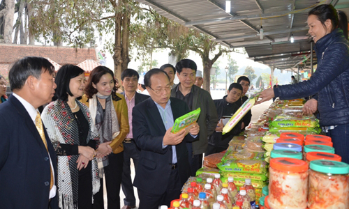 Minister of Culture, Sport and Tourism checks organization of festivals in Vinh Phuc province